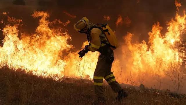 El Consejo General de Procuradores de España activa seguimiento institucional ante los incendios en Madrid y Castilla y León